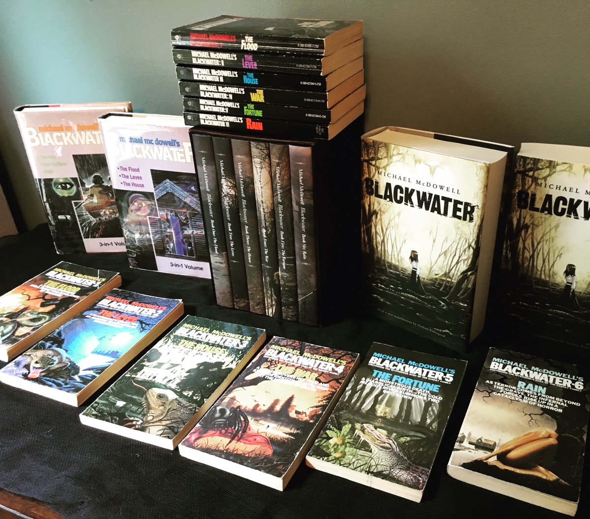 CrabbeToby's tweet image. Sometimes a #book just comes along and completely reshuffles your Top 10. &apos;Blackwater&apos; by #MichaelMcDowell just did that for me. If you haven&apos;t checked it out already, it&apos;s fantastic for fans of the #Southern #Gothic genre 🐊🦎🕯️

#readingforpleasure #BooksWorthReading #swamp
