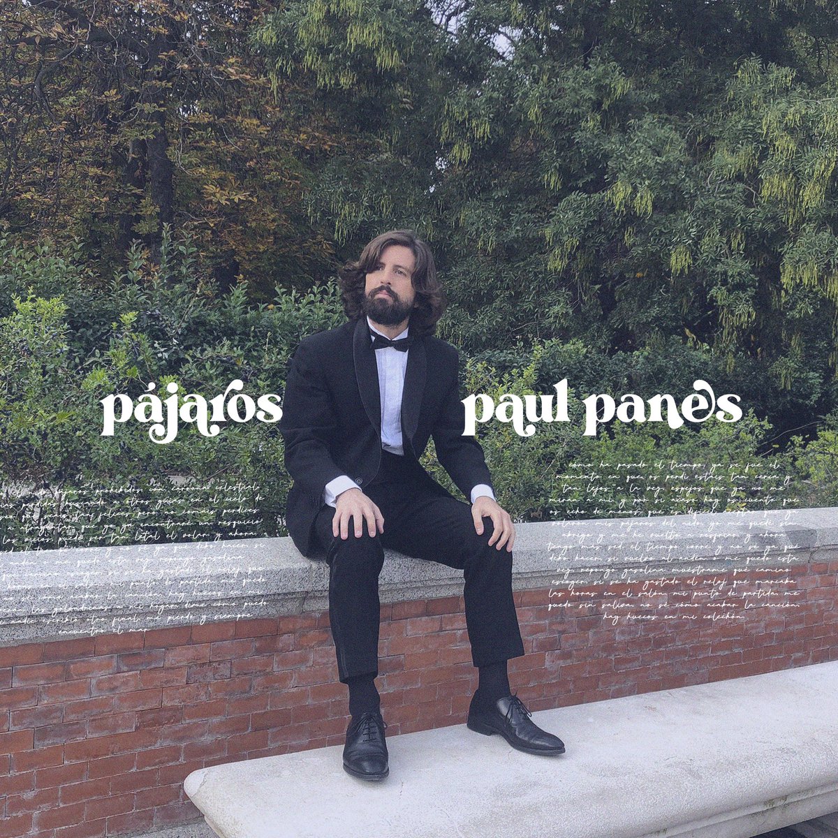 Paul Panés tweet media