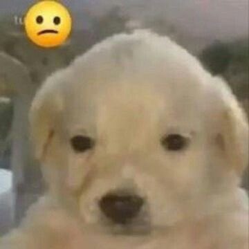นนท์ '🦦 tweet media