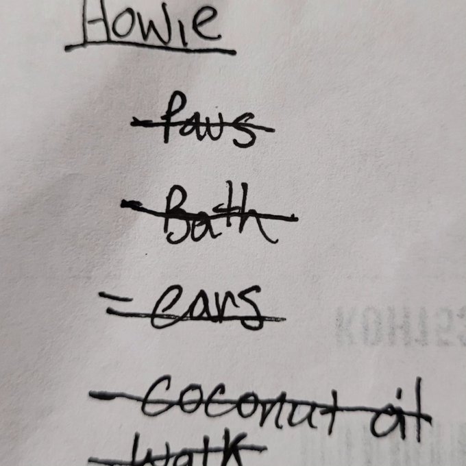 Omw to the vet for Howie's laser treatment for his spine 🐾🐾 https://t.co/fO4OqXChkJ