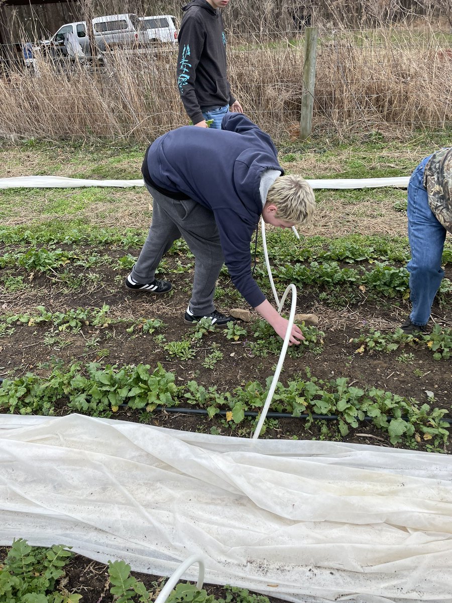 Apex FFA tweet media