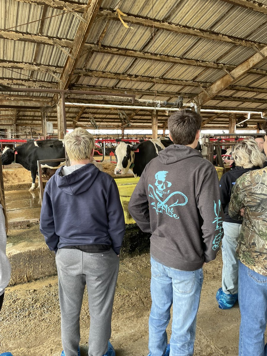 Apex FFA tweet media