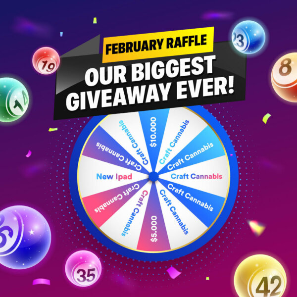 HerbApproach's tweet photo. 🚨FLASH GIVEAWAY 🚨 ONLY 3 DAYS LEFT 
FEBRUARY RAFFLE TICKET
Enter here: https://t.co/sg3hHYiG2P

🎄Like and Retweet
🎄Comment the gift you want
🎄Follow
🎄Tag 5 friends
#Marijuana #Mmemberville #CannabisCommunity #cannabisculture #StonerFam #Canada #Cybertruck
#BritishColumbians https://t.co/GEY7tdpP1H
