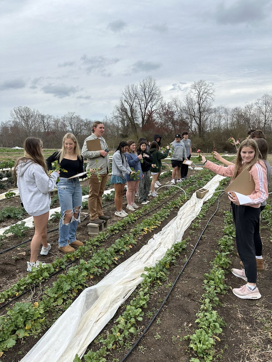 Apex High Culinary tweet media