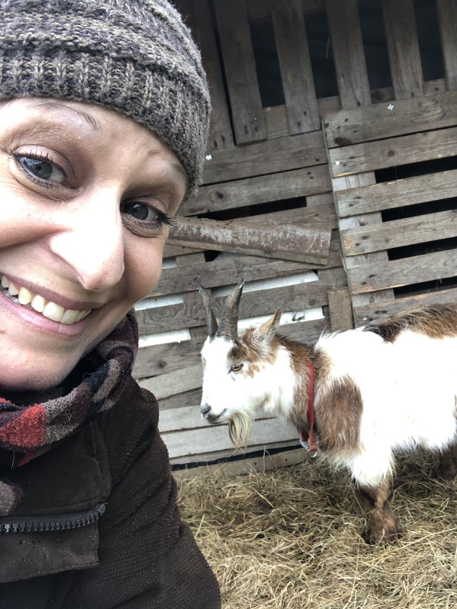 I met a Pygmy goat today (and other lovely beings) at @arkategwood Such an amazing place 🤗 #arkategwood #community #actsofrandomkindness