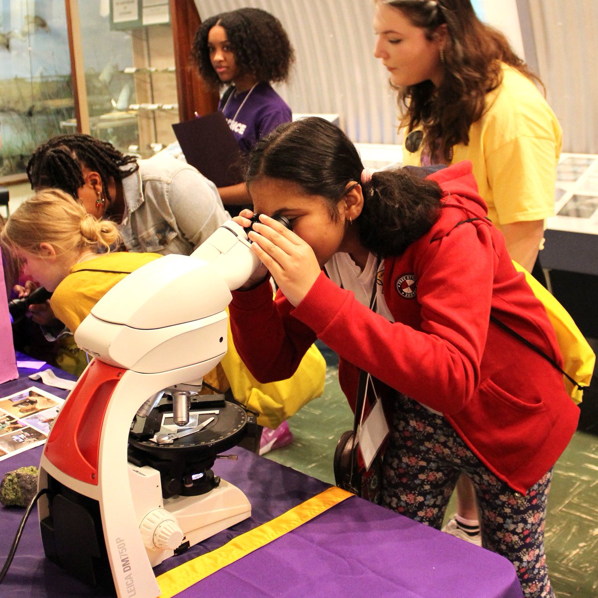 lsuscience's tweet photo. We're excited to have welcomed a fantastic group of 4th-6th graders to @lsu_MNS for a memorable Kids' Day! They enjoyed hands-on STEM activities, behind-the-scenes museum tours, and lunch with CoS scientists. Thanks to all for making this day possible! 🎉🔭
#GeauxScience https://t.co/iay7O4AnEn