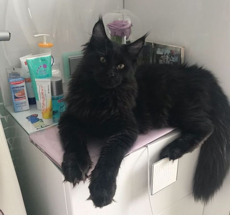 хаотичность прямопропорциональна реальности