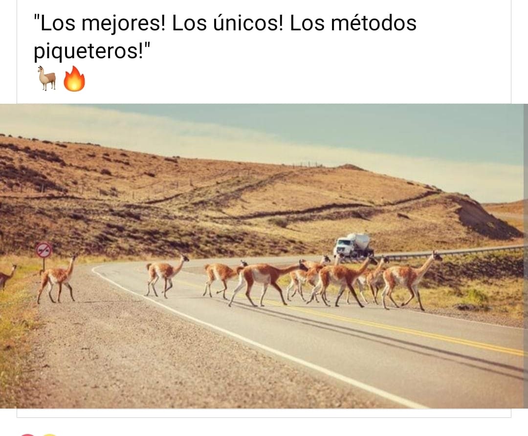 En #Chubut no le tenemos miedo. Nos desafían y cortamos la ruta. Espero le quede claro a Pato.