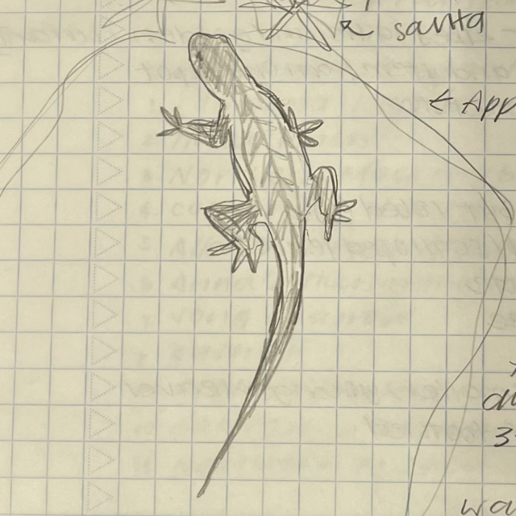 Students in my #FieldEcology course are blogging about their experiences keeping a #NaturalHistory notebook. This week, Sarah writes about lizards: taking a closer look gave her a new appreciation for their individuality & cuteness 🦎😍 hmcbee.blogspot.com/2024/02/avid-l… @harveymudd