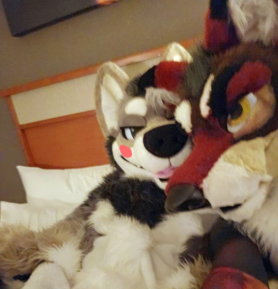 Look!! I'm dollying up this yote ☺️ and he is making cute dolly noises!