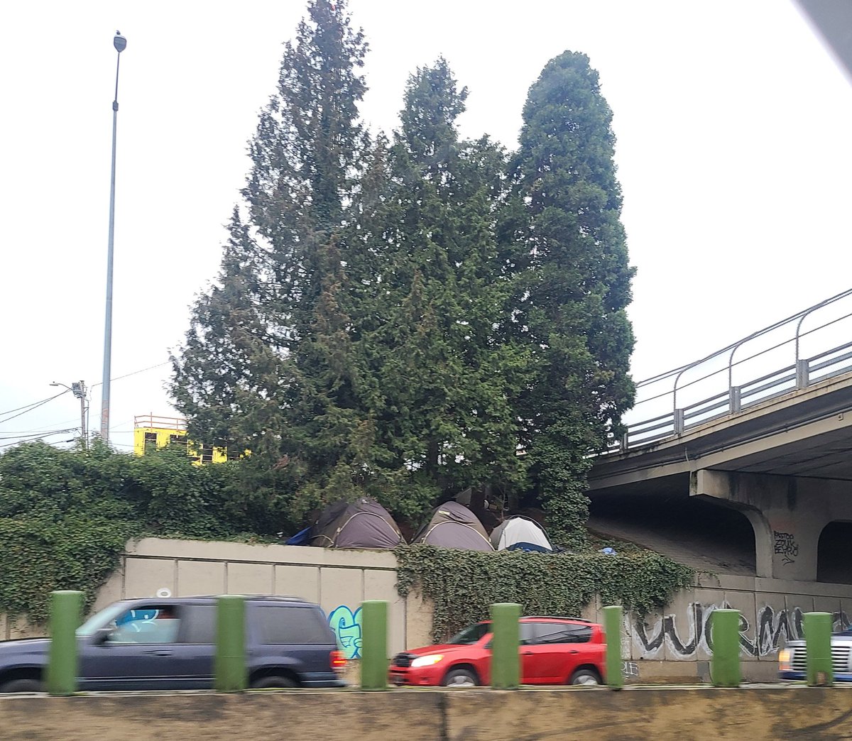 JoForOregon tweet media