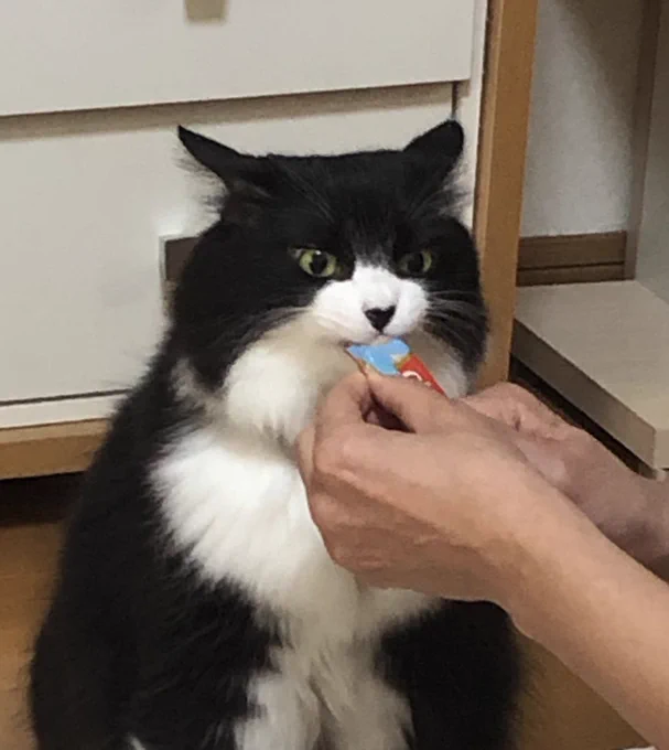 真剣な顔 