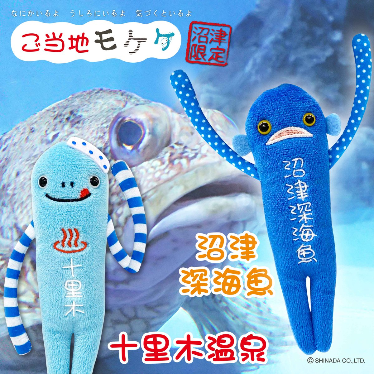 沼津 限定 #十里木温泉 #深海魚 モケケ が新発売！ 各地お土産店・駅