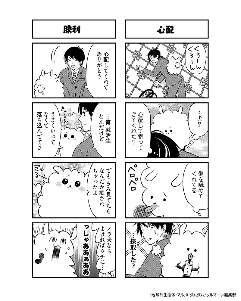 hoboheee's tweet photo. 地球外生命体・マル①

#ほぼへぇ 
#ほぼ平日まんが 
#オリジナル漫画 
#漫画が読めるハッシュタグ 
#マンガが読めるハッシュタグ https://t.co/jSV3WFWPJE