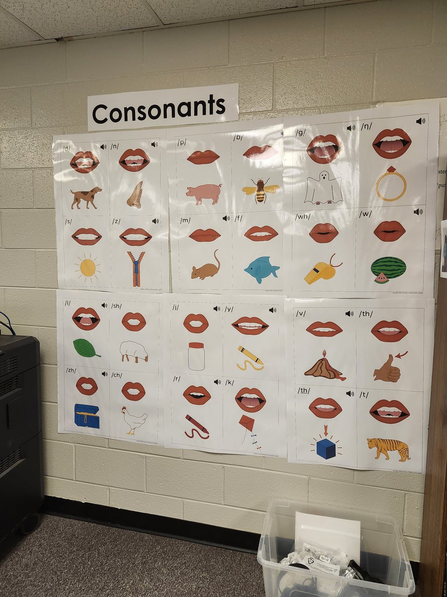 Marta Anderton tweet media