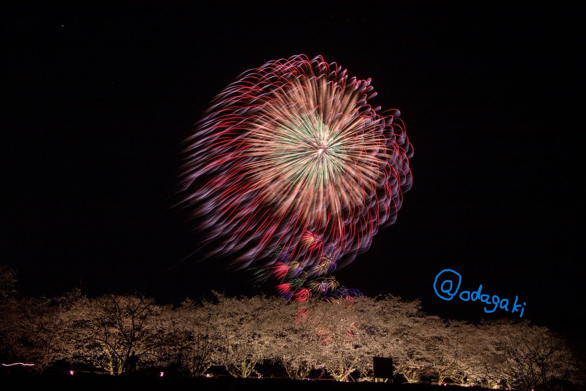 2019年4月6日に開催された「武蔵嵐山さくらまつり」から1枚。
桜の時期と開催の日程のズレで3年越しでやっと撮影出来たのです^^
しかし、その後はコロナで開催は中止。
今年は嵐山さくらまつりは開催されますが、花火打上はありません。
今年はどこかで桜と花火のコラボ撮影したいなぁ～