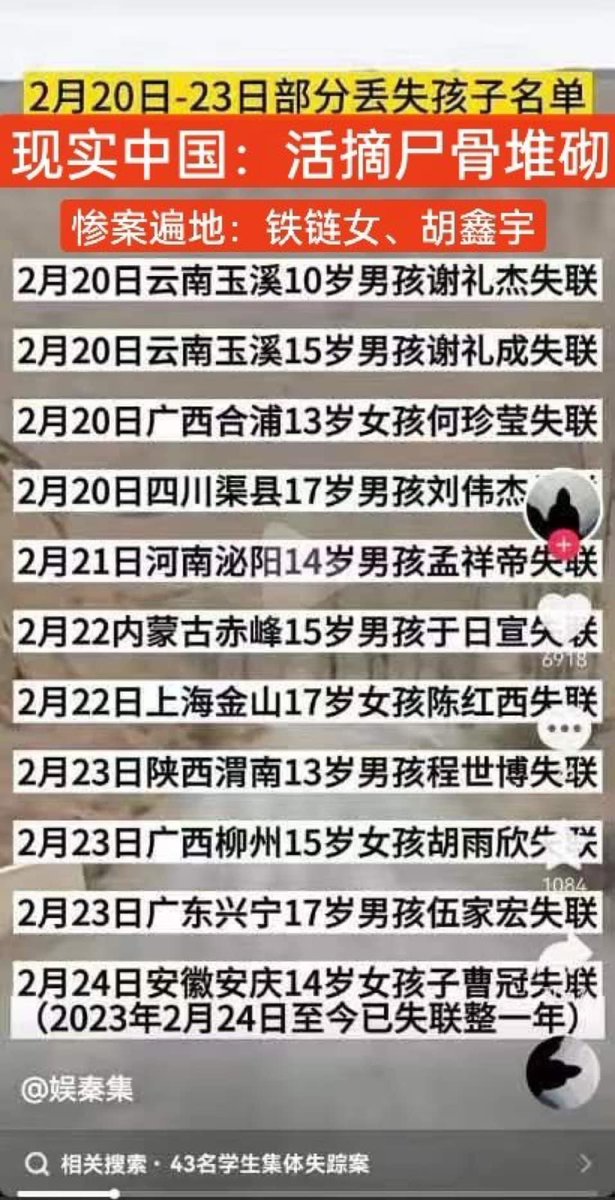 悉尼閑人 tweet media