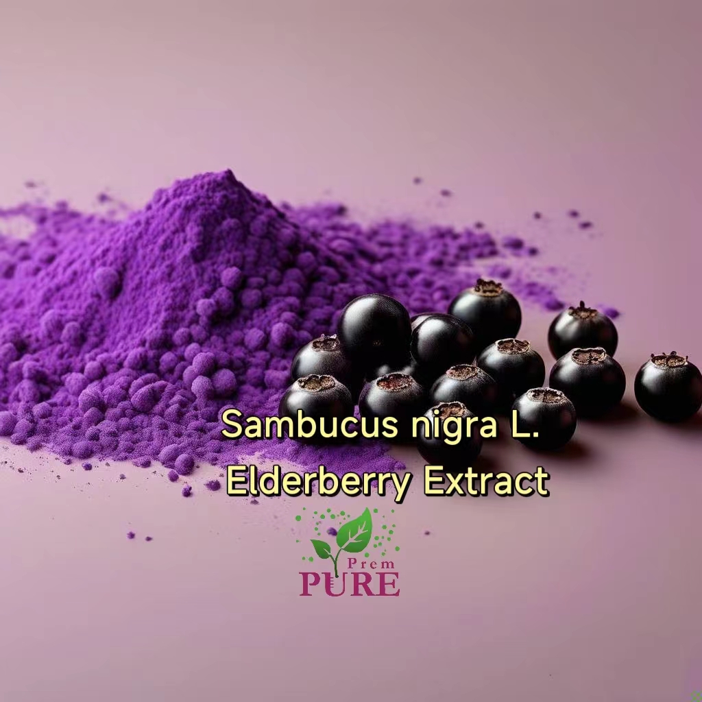 PremPureBio's tweet image. #ElderberryExtract and Elderberry Juice Powder are derived from the fruit of the elderberry plant (#Sambucus nigra L.).
Elderberries have been traditionally used to support the immune system. They may help enhance the immune response and reduce the duration and severity of colds