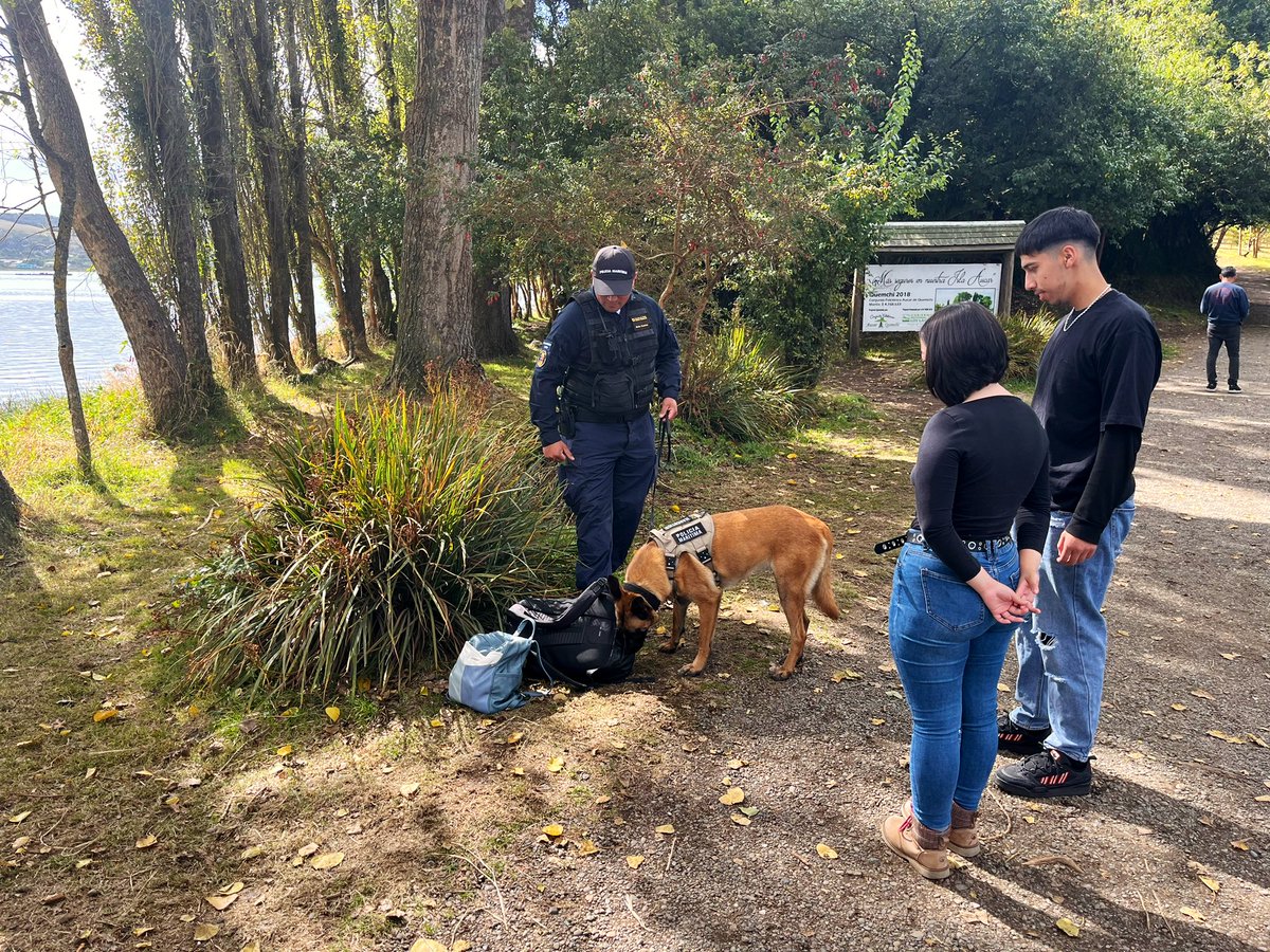 Policía Marítima de la <a href="/CAPUERTOQUEMCHI/">CapuertoQuemchi</a> junto a Binomio Canino de <a href="/CapuertoAncud/">Capuerto Ancud</a> 🐕 efectuaron prevención del delito y fiscalización ley 20.000 en #Aucar #Tenaún y #Quicaví 🫡
.
.
.
.
<a href="/Armada_Chile/">Armada de Chile</a> <a href="/DGTM_Chile/">DIRECTEMAR - Armada de Chile</a> <a href="/SubPrevDelito/">Subsecretaría de Prevención del Delito</a> <a href="/maritgobcas/">Javier Mardones Hennicke</a>