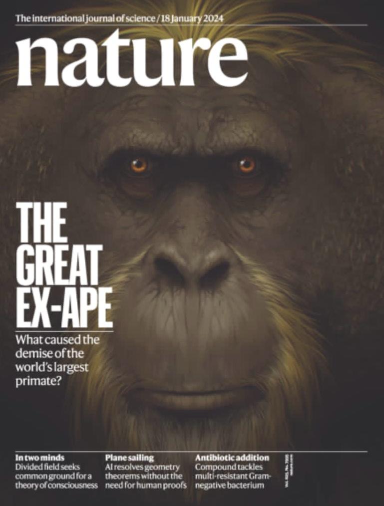 We used some techniques discussed in our piece below to contextualise Gigantopithecus teeth for our recent <a href="/Nature/">nature</a> paper. Microanalytical techniques provide nuanced environmental data stored in cave and rockshelter sediments

Please read the paper here:

rdcu.be/dzULd