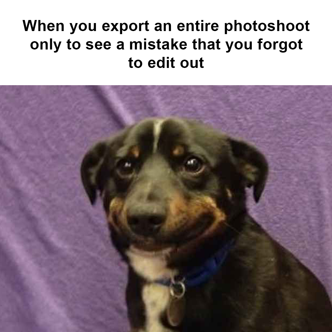 bhphoto's tweet photo. 🥲
.
#thisisfine #badluckclub #bhphoto https://t.co/aTehYGn9mH