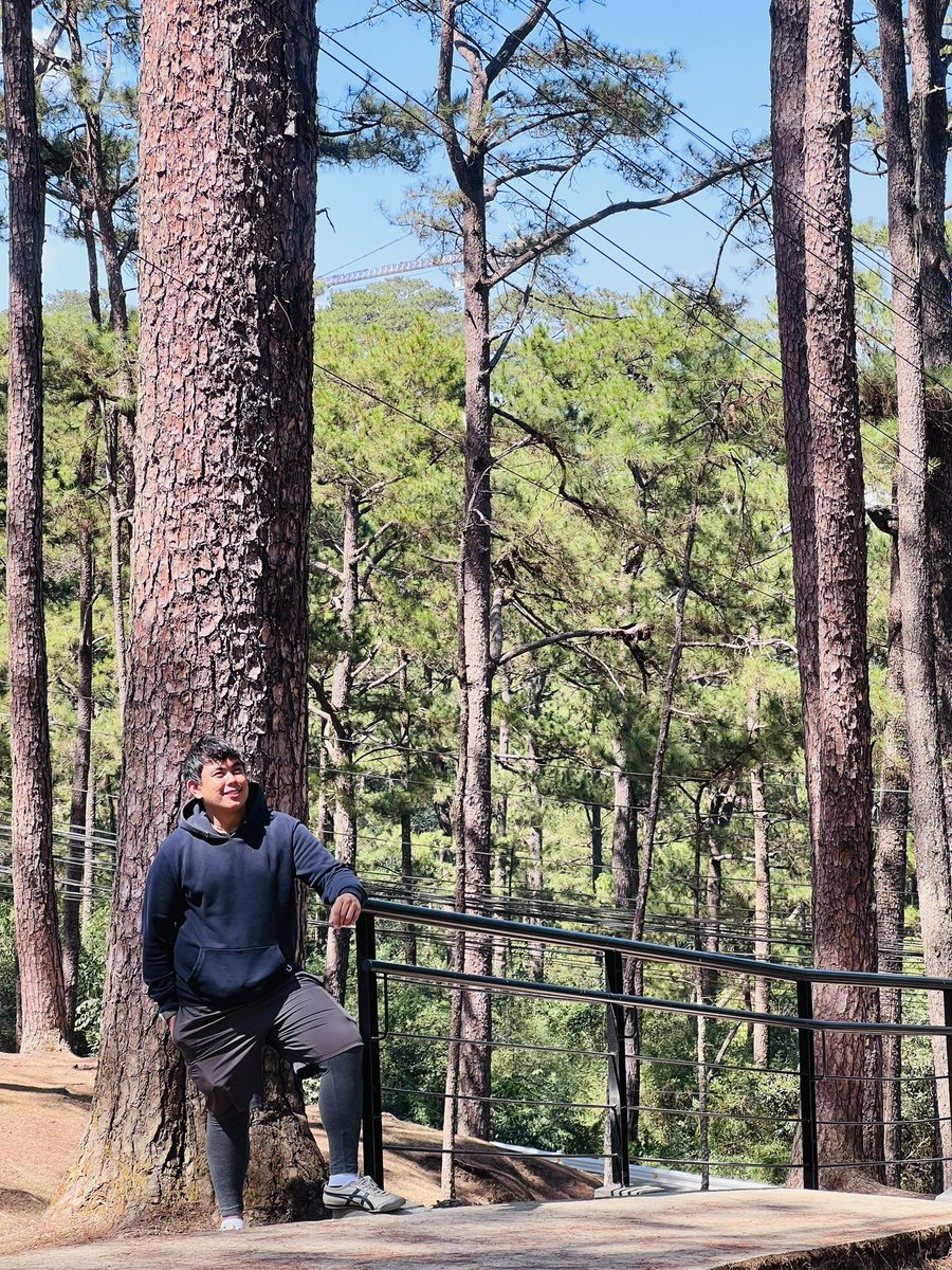 jamesagudelo08's tweet photo. Good Morning from the city of pines https://t.co/1mscDTEtie