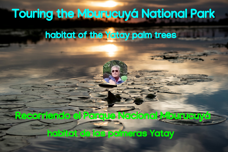 belmaxhugo's tweet photo. Recorriendo el Parque Nacional Mburucuyá, hábitat de las palmeras Yatay https://t.co/qKVMctvWiR https://t.co/aJdGHfKpes