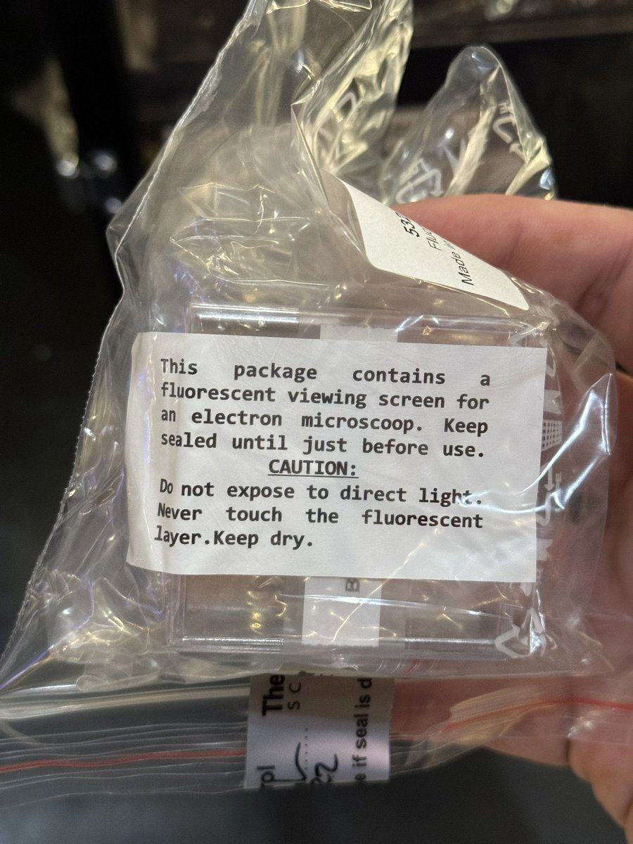 a sentient electron 🧠🔬⚛️ tweet media