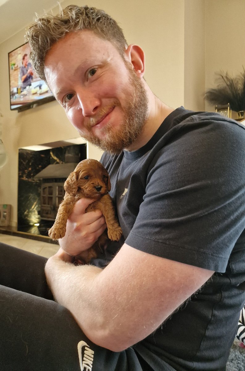 Joe Locker tweet media