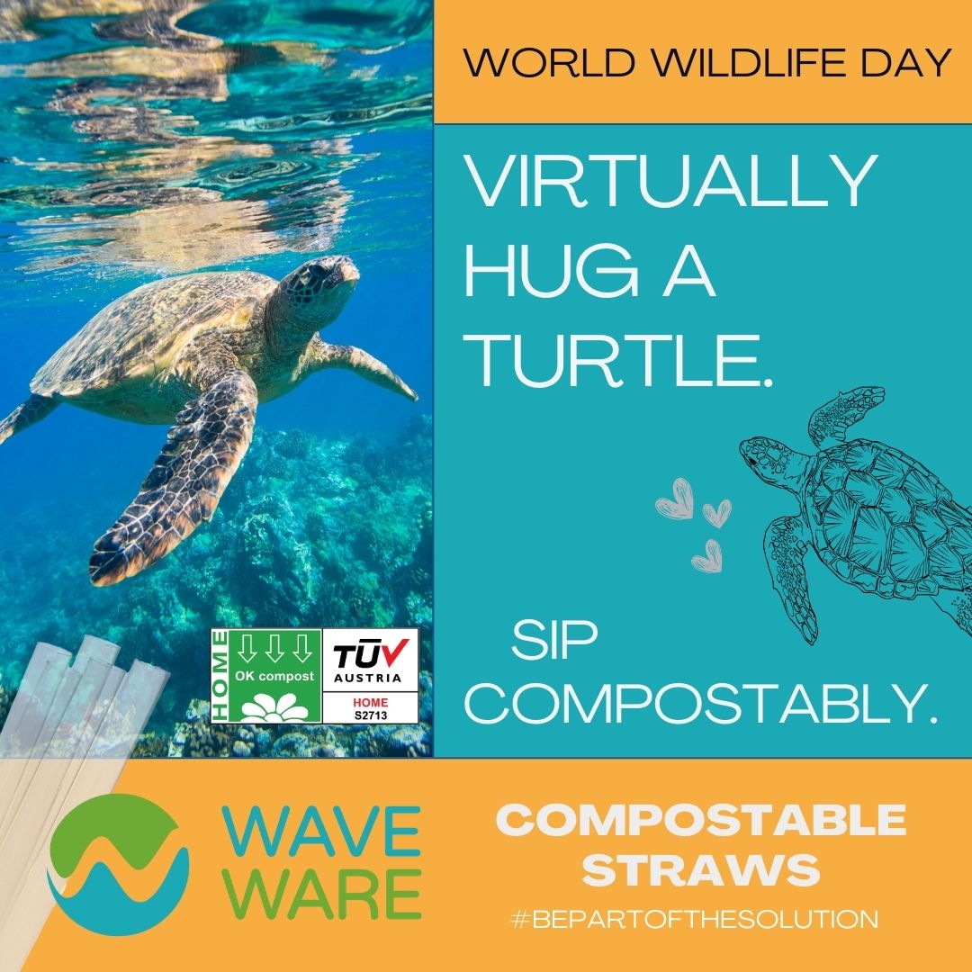 Ever hugged a turtle?🐢Choose Wave Ware and they'll feel the love. Be kind to wildlife this #WorldWildlifeDay -- switch to #WaveWare backyard #compostable #straws that are made with #biofriendly ingredients. #renewable #sustainable #TUVHomeCertified #sipcompostably #turtlehug