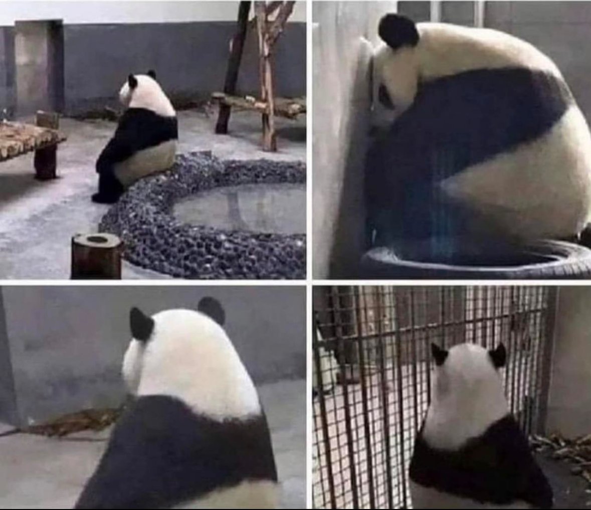 Michael Justus tweet media