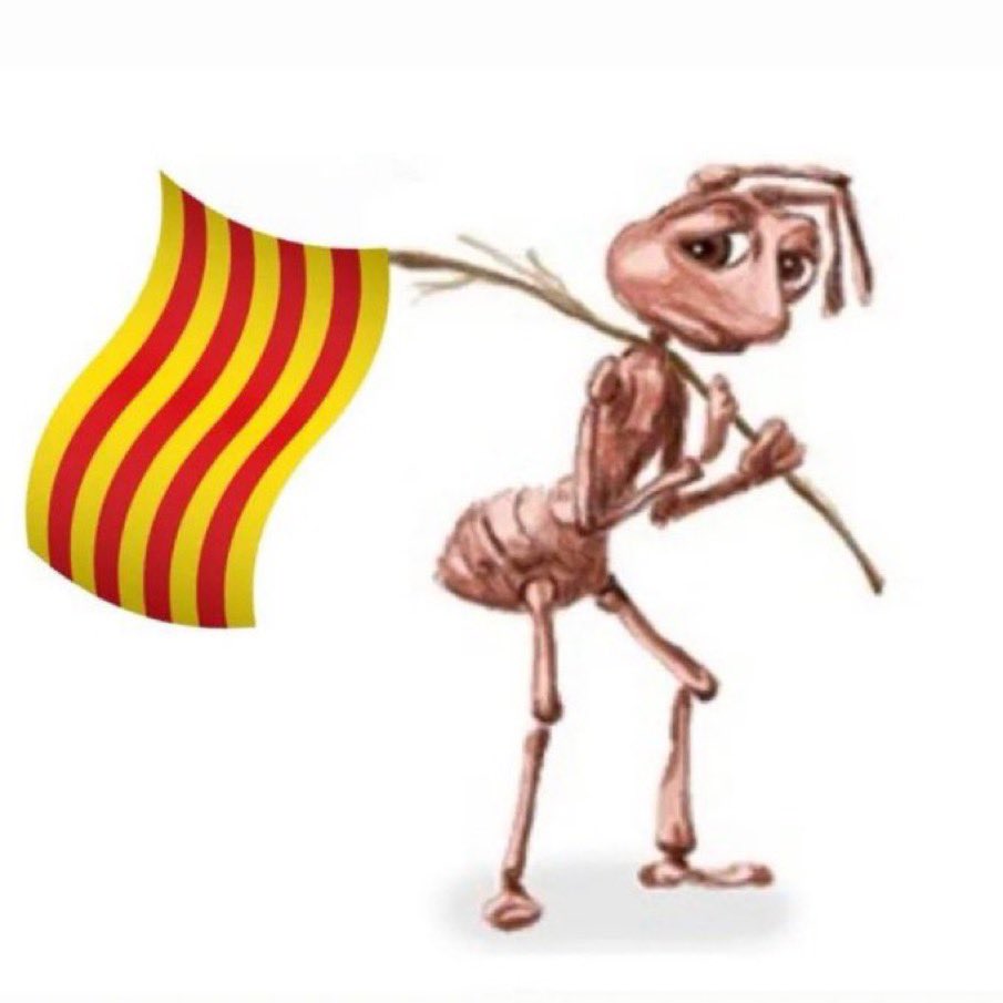 laiaabaguee's tweet photo. aixi em sento quan soc l’unica de classe que parla en català: https://t.co/PKpmcZoXoK
