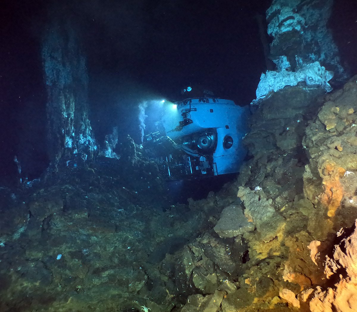 WHOI's tweet photo. 🎉 Today, Rick Sanger completed his 50th dive in #HOVAlvin since becoming a pilot 3 years ago! Today's dive took place at the East Pacific Rise, a fast-spreading mid-ocean ridge where scientists think a seafloor volcanic eruption is likely.
📸 by Dan Fornari © #WHOI
#NSFfunded https://t.co/XPXJRQrLDI