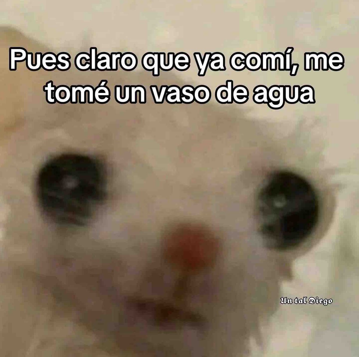 Guarromantico_'s tweet image. 