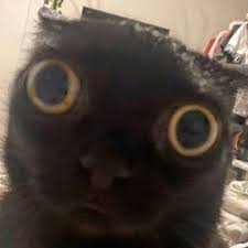 twitch.tv/seebbbzz Vengan que ya prendi