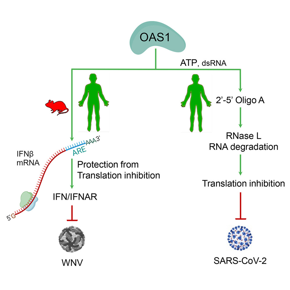 Vijay Rathinam tweet media