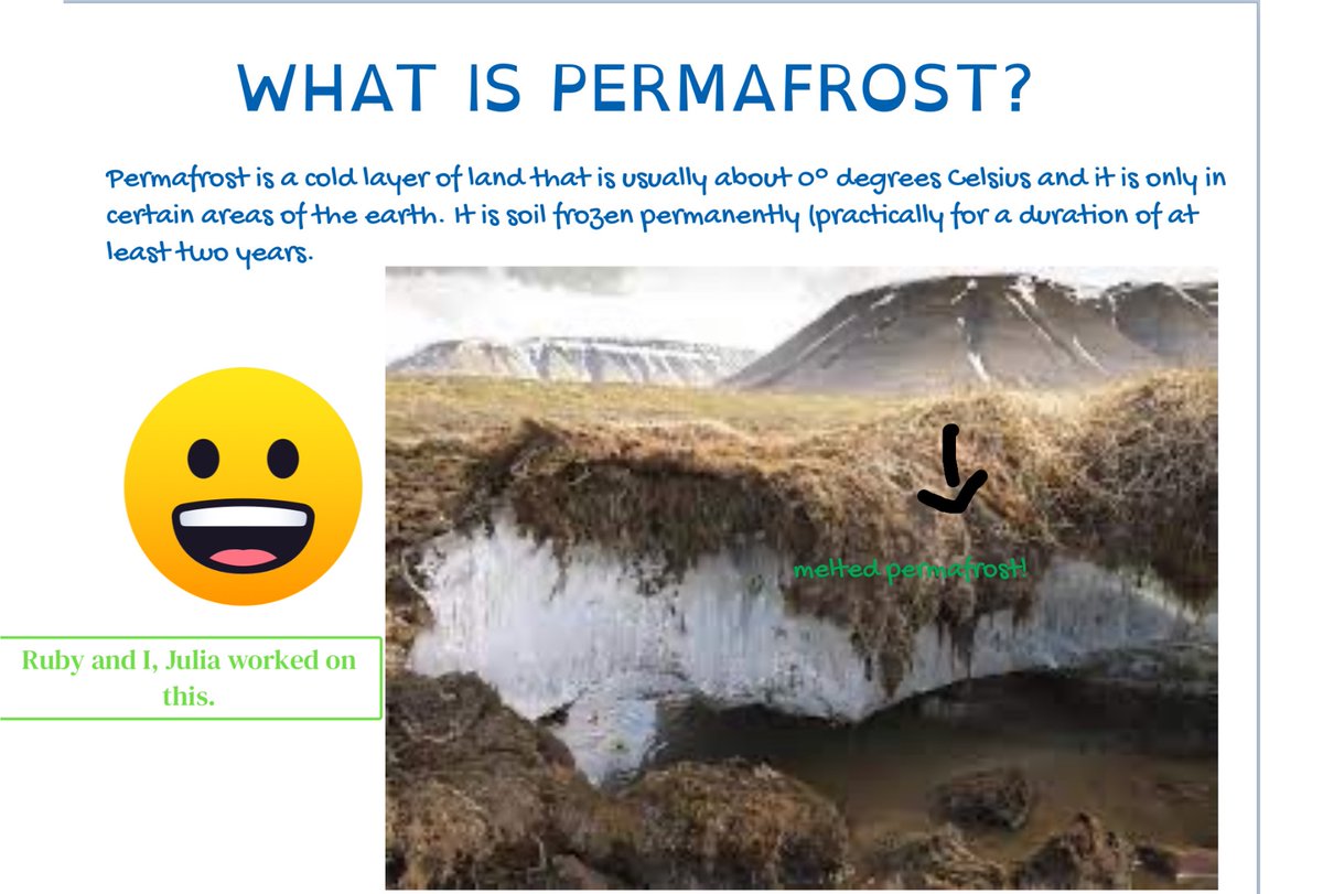 Nicole Gordon tweet media