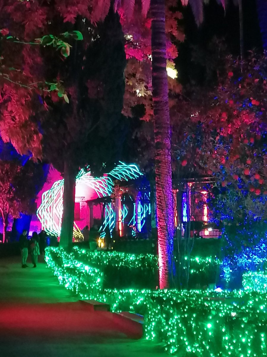 araceli limon ruiz tweet media