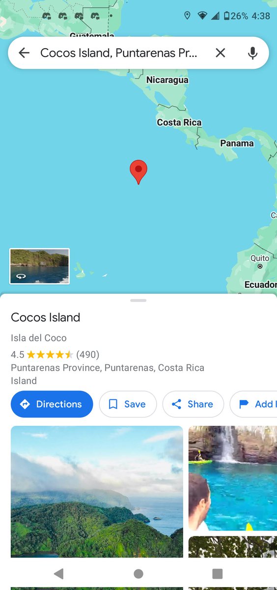 CactusCotton tweet media