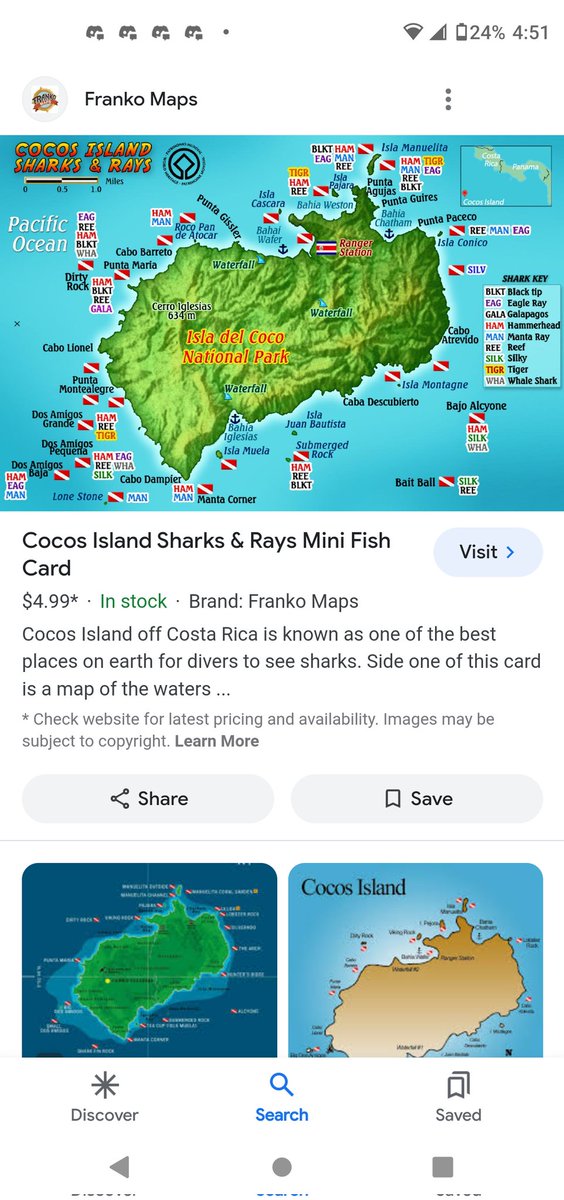 CactusCotton tweet media