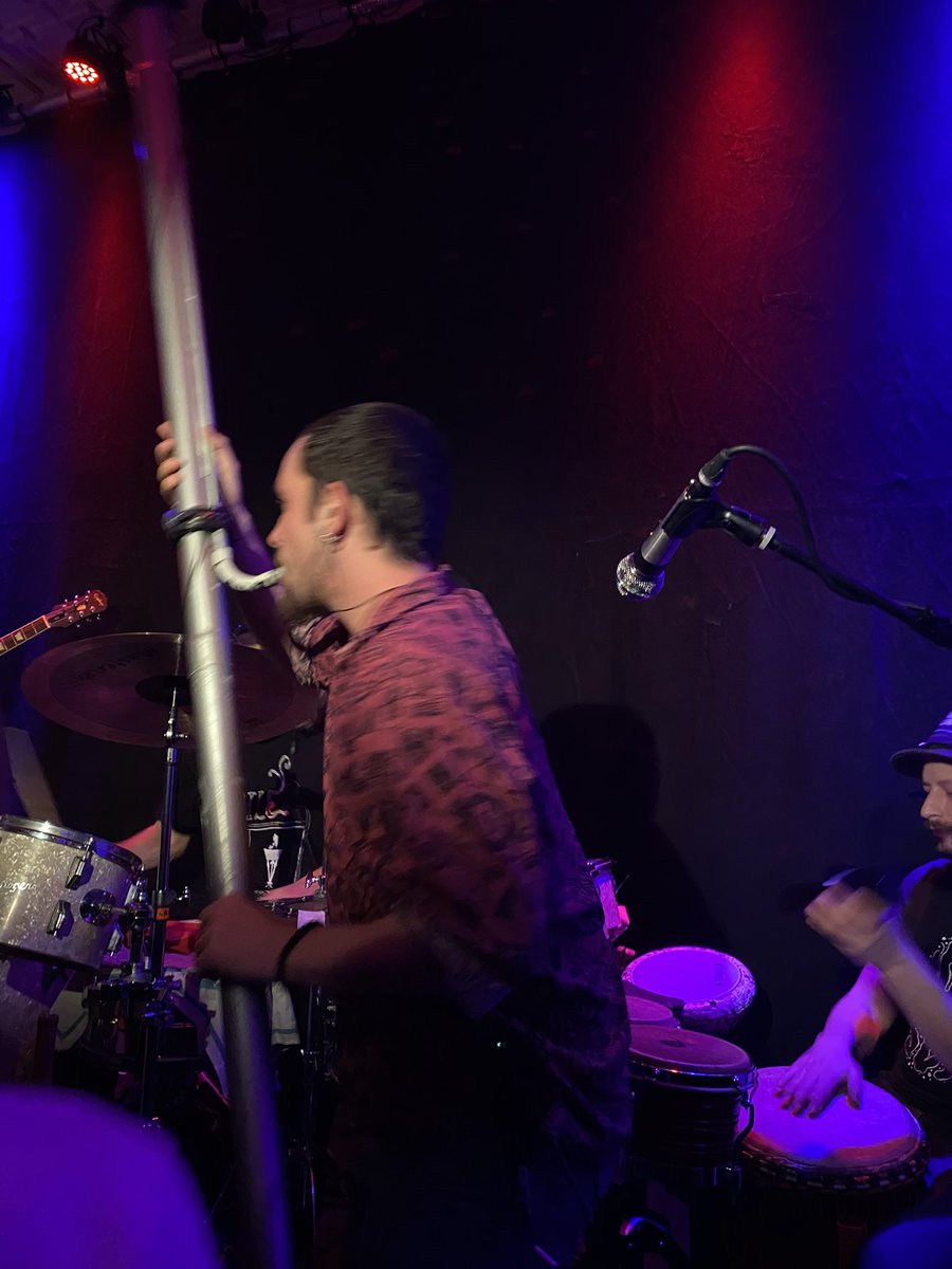 takeshi’s cashew im winzigen wp8