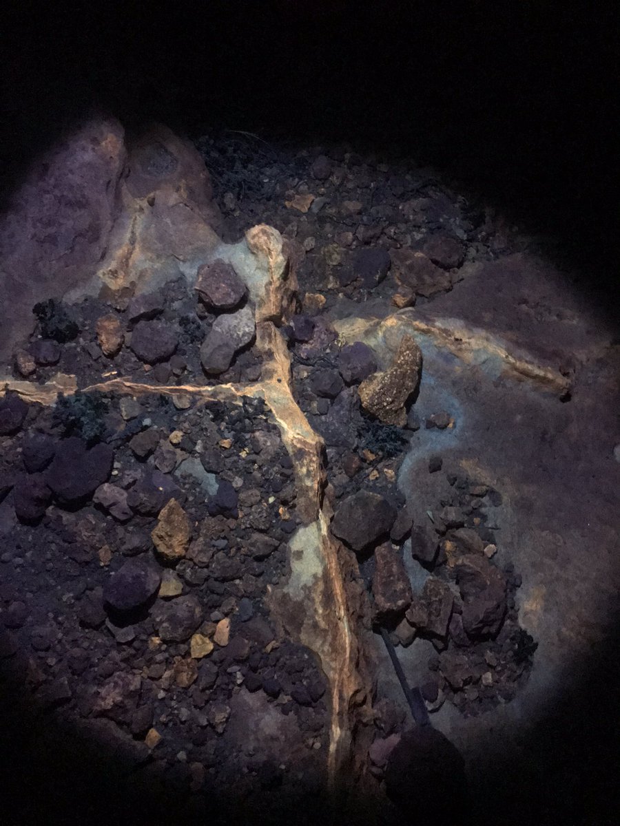 Mjahid Zebari tweet media