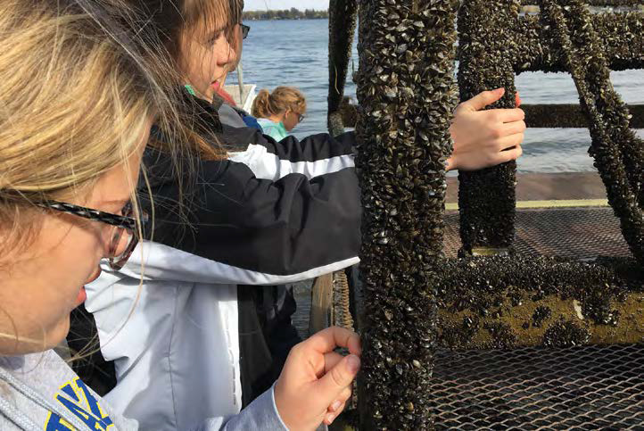 noaaocean's tweet image. Help your students combat invasive species like zebra mussels and Asian carp, like this South Dakota teacher did with his class! oceanservice.noaa.gov/education/plan… Photo credit: Spencer Cody #NISAW