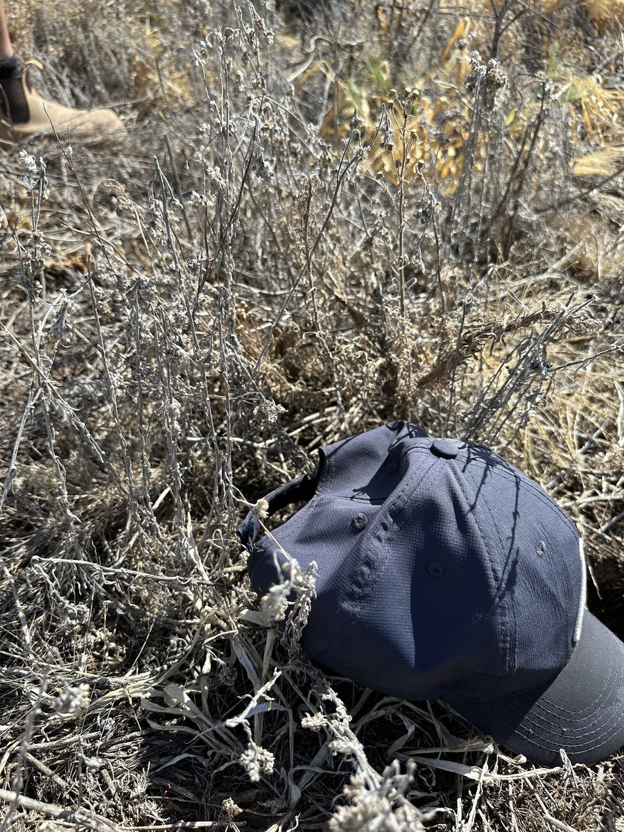 Grassroots Agronomy tweet media