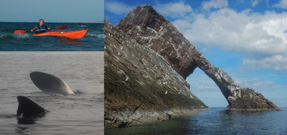 PeteCrane5's tweet photo. A6. #BaskingShark and #BowFiddle; when time is on my side the #Moray Coast is a great place to explore in a kayak. #ScotlandHour https://t.co/l5VNOzEVaI
