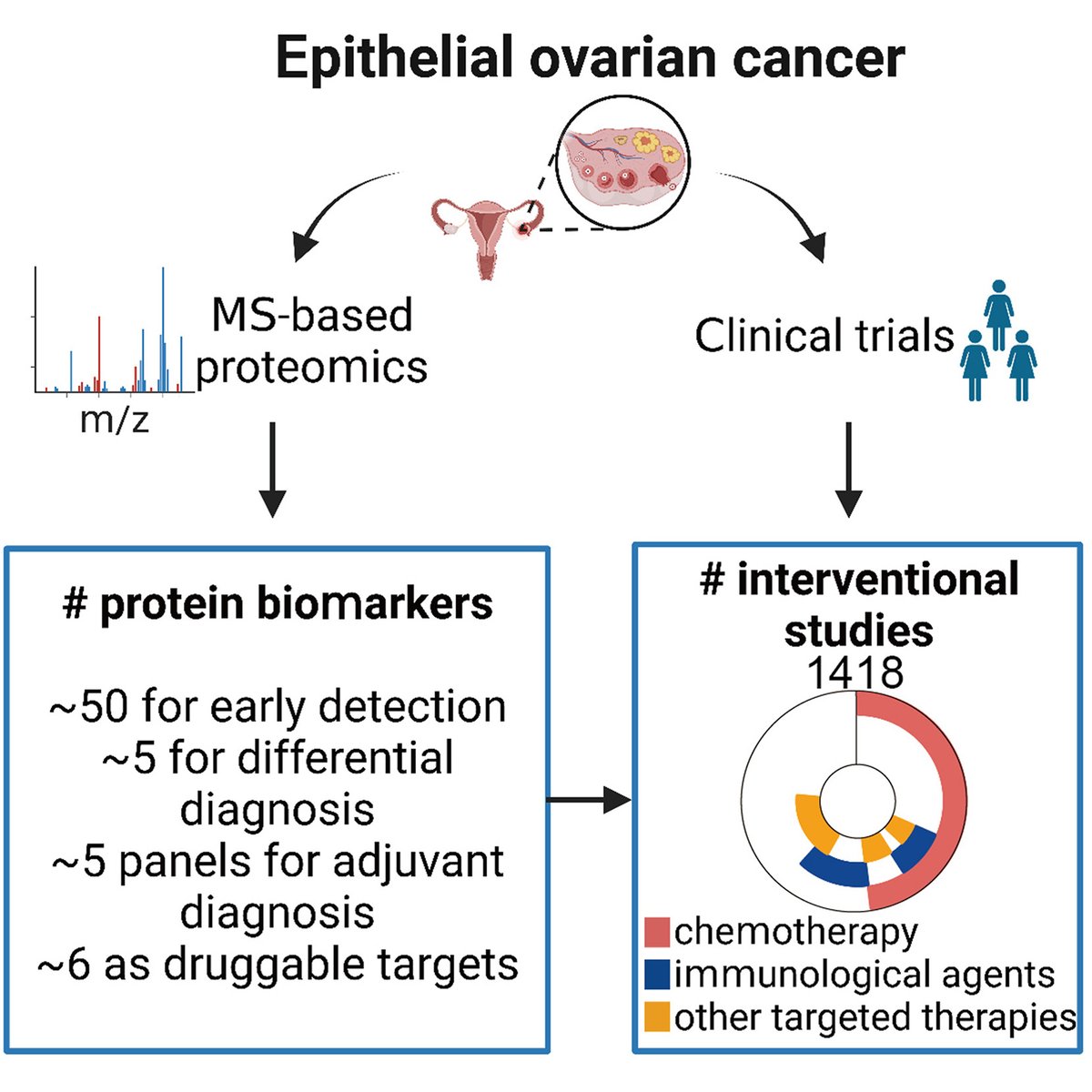 Qian et al. anticipate that the rapidly evolving technology of spatial and single-cell proteomics will deconvolute the intra-tumor heterogeneity of epithelial ovarian cancers (EOCs). Learn more: mcponline.org/article/S1535-…