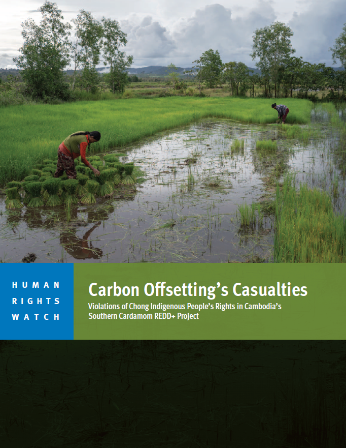 We @hrw just released a 118pp report on rights abuses at one of the world’s largest REDD+ projects. We documented a flawed consultation process, forced evictions, and arbitrary arrests. @VerraStandards should ensure accountability and remedies for victims. hrw.org/news/2024/02/2…