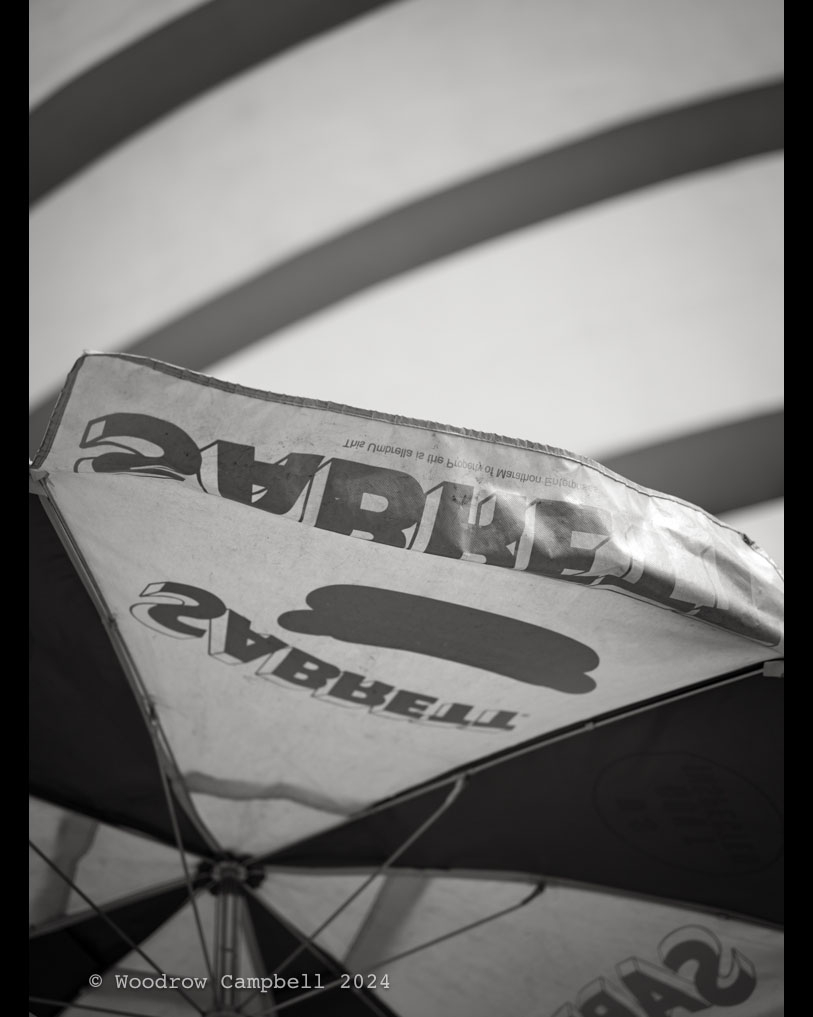 Woody_Campbell's tweet photo. Now. Sabrett hot dog stand outside of the Guggenheim.   Day   5231 of 1 photo every day for the rest of my life. 

#BlackAndWhite #BNW #Photo #Monochrome #DailyPhoto
#Leica #M11M #Monochrom
#Manhattan #NewYork #NYC
#sabrett #hotdog #guggenheim https://t.co/oWFhXxNgjc