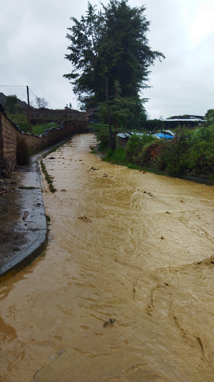 Tacna: activación de quebradas en Tarata afecta a la ciudadanía. Recuerda estas condiciones están conforme al aviso de precipitaciones en sierra.