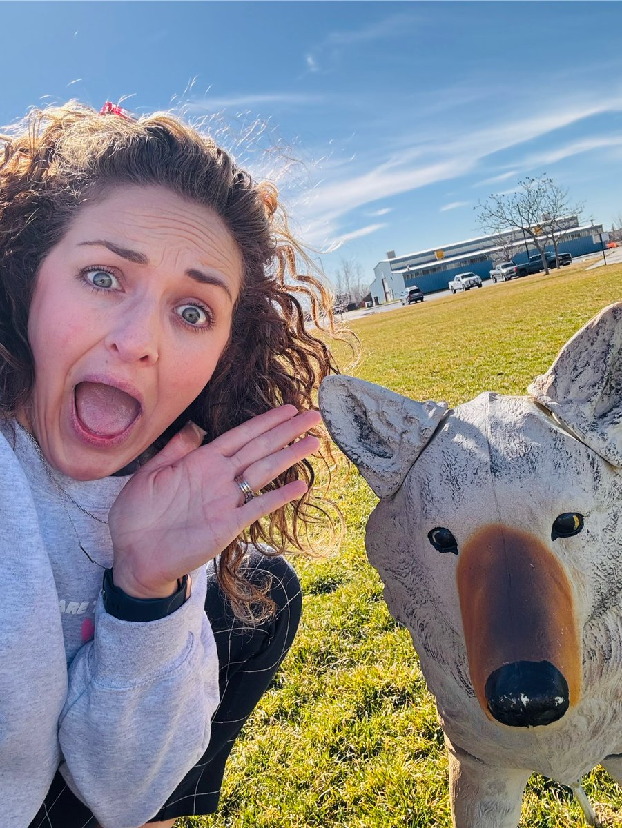 WesternSportsPk's tweet photo. Did you know those "coyotes" on our fields are actually just clever decoys to keep the geese away? Talk about a sneaky way to keep our grass looking pristine! Who knew fake animals could be so effective at detouring the real ones? #GeeseDeterrent #WesternSportsPark https://t.co/CcsLOEnJcF